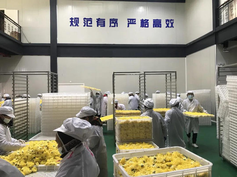 恒峰g22(国际)官网入口-天天有惊喜