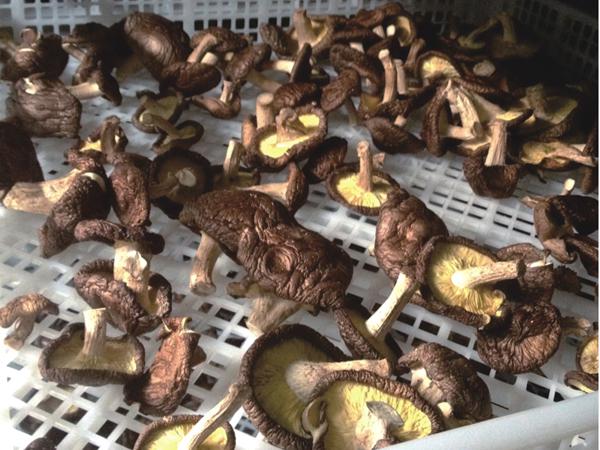 恒峰g22(国际)官网入口-天天有惊喜