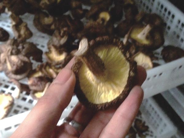 恒峰g22(国际)官网入口-天天有惊喜