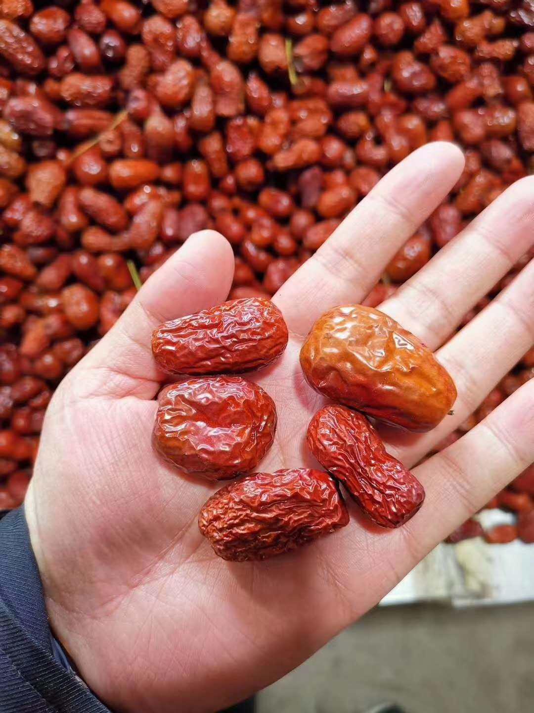 恒峰g22(国际)官网入口-天天有惊喜