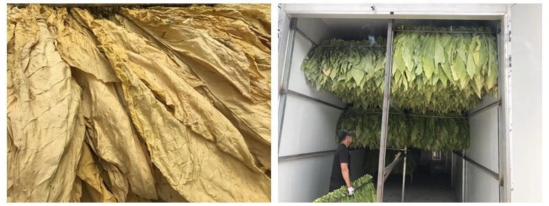 恒峰g22(国际)官网入口-天天有惊喜
